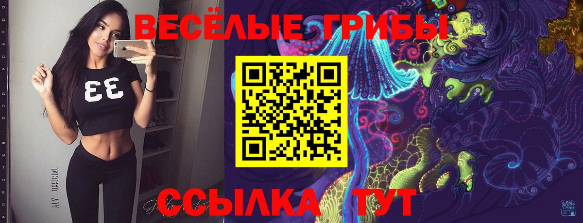 Псилоцибиновые грибы прущие грибы Кувандык